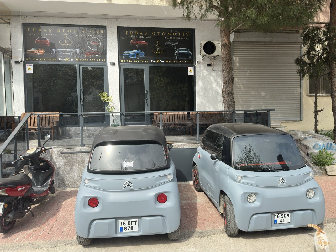 EcoRide Citroën Ami Gemlik